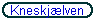 Kneskjælven