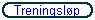Treningsløp