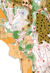 2,6km Sprint